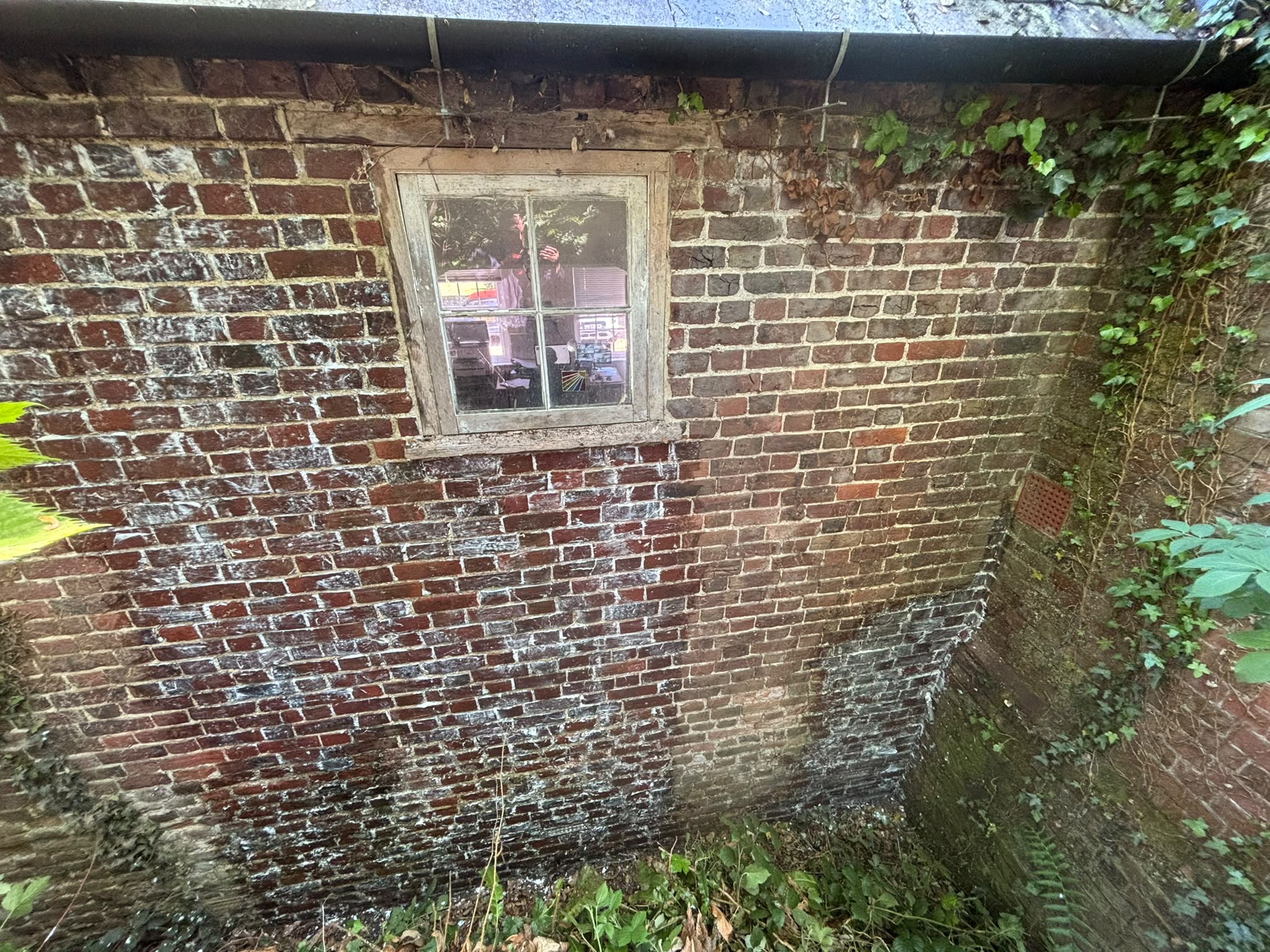 Damp Specialist in Canterbury